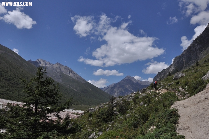 DSC_0334-1.jpg