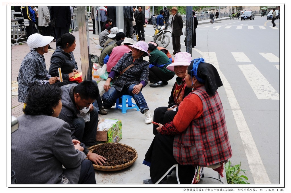 照片 224.jpg