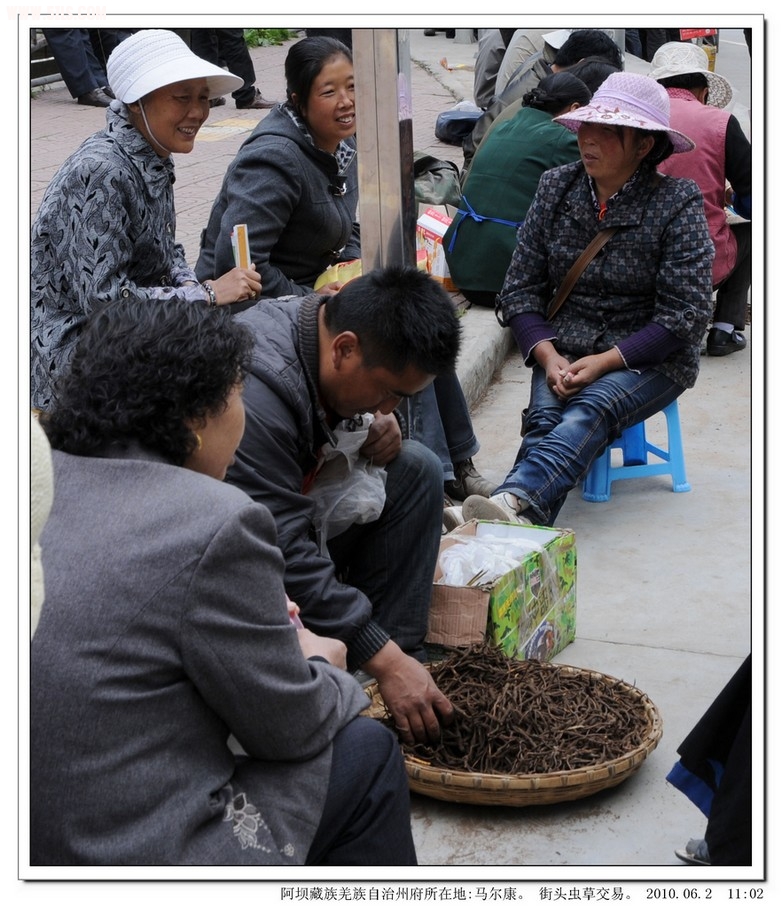 照片 225.jpg
