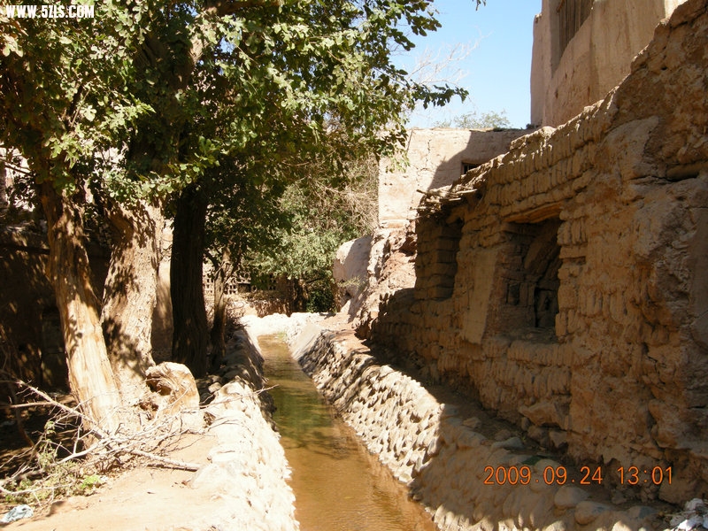DSCN4529.JPG