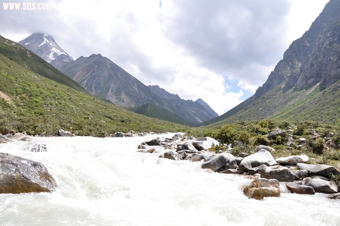 DSC_0384-1.jpg