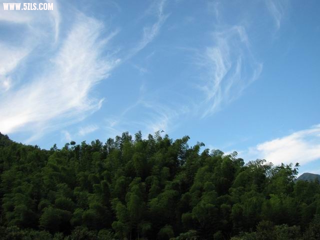青山、南天