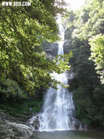 С ת IMG_5617-11.jpg