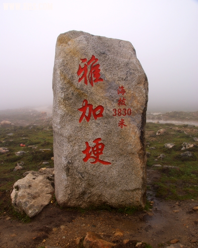 DSC05109.jpg