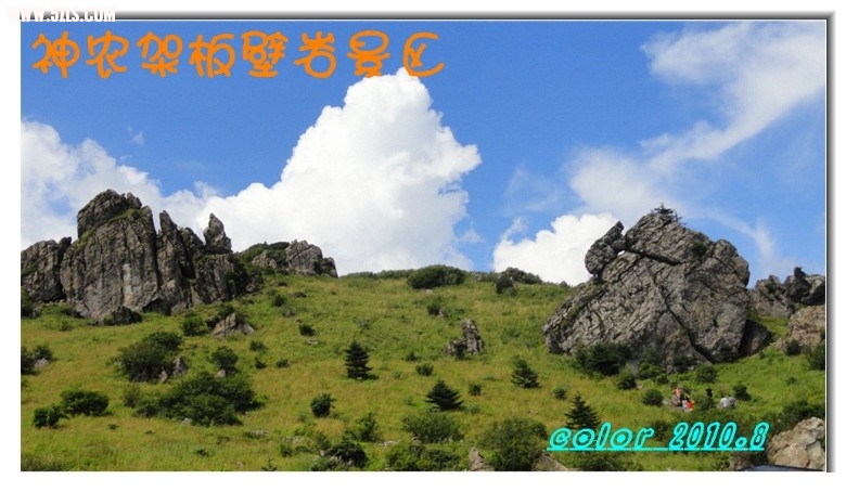 DSC01103_.jpg