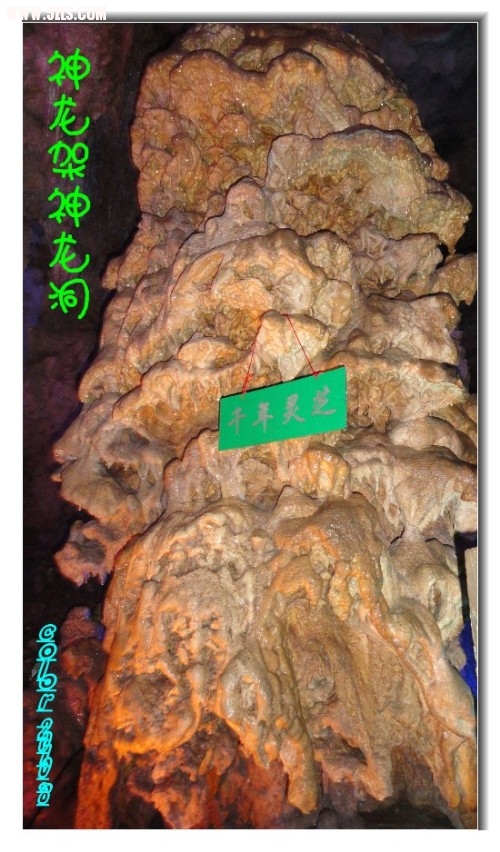 DSC01164_.jpg