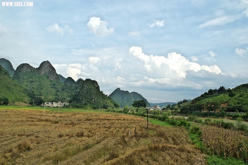 DSC_00140.jpg