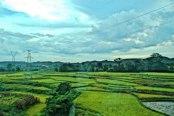 DSC_0445.jpg