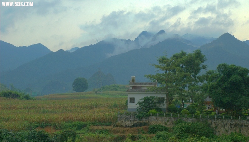 DSC_0302.jpg