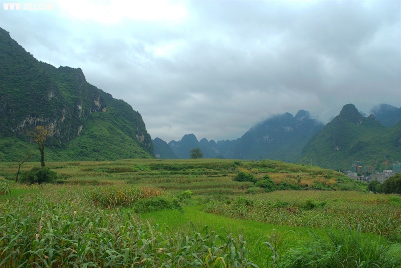 DSC_0124.jpg