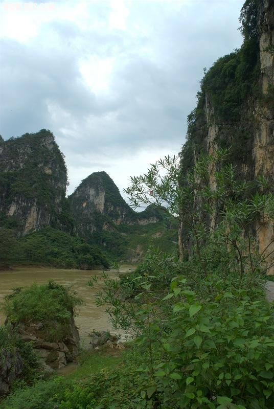 DSC_0087.jpg