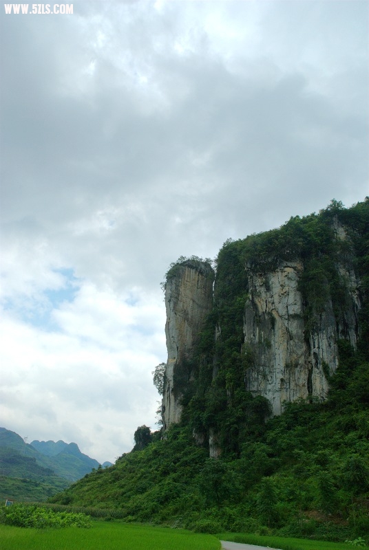 DSC_0273.jpg