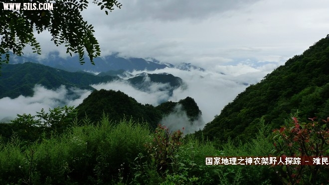 P1130751.jpg