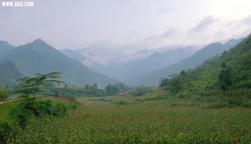 DSC_0308.jpg