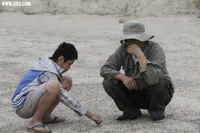 沙漠大叔在和八戒促膝谈心.jpg