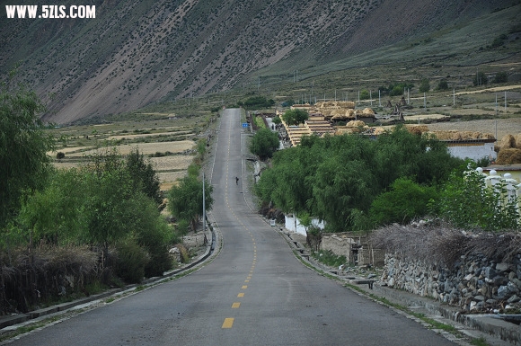 DSC_0603.jpg