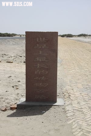 砖砌公路二.jpg