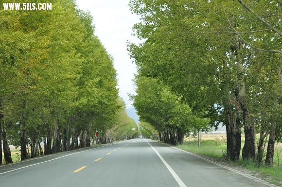 DSC_1013.jpg