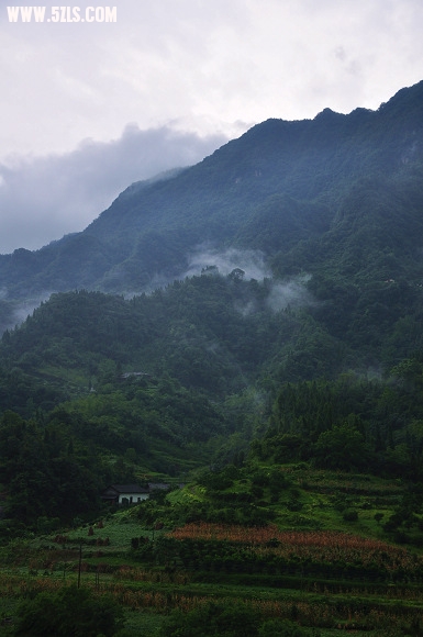 DSC_0023.jpg