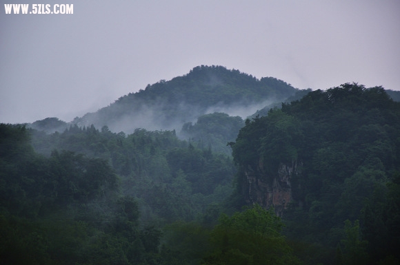 DSC_0007.jpg