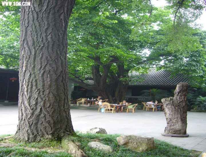 P1080291.jpg