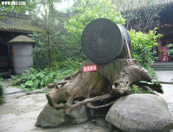P1080303.jpg