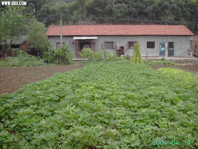 PICT3390.JPG