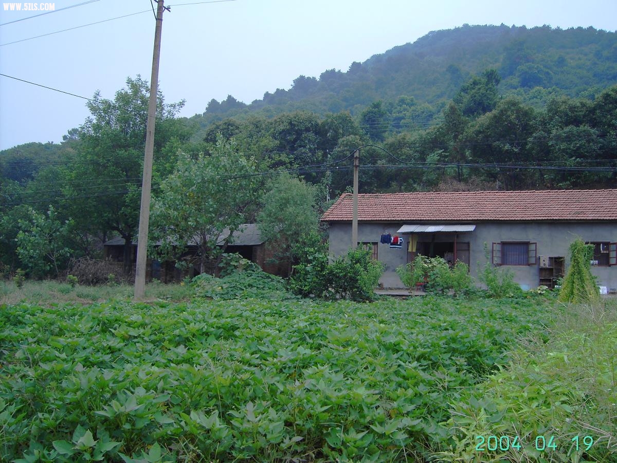 PICT3392.JPG