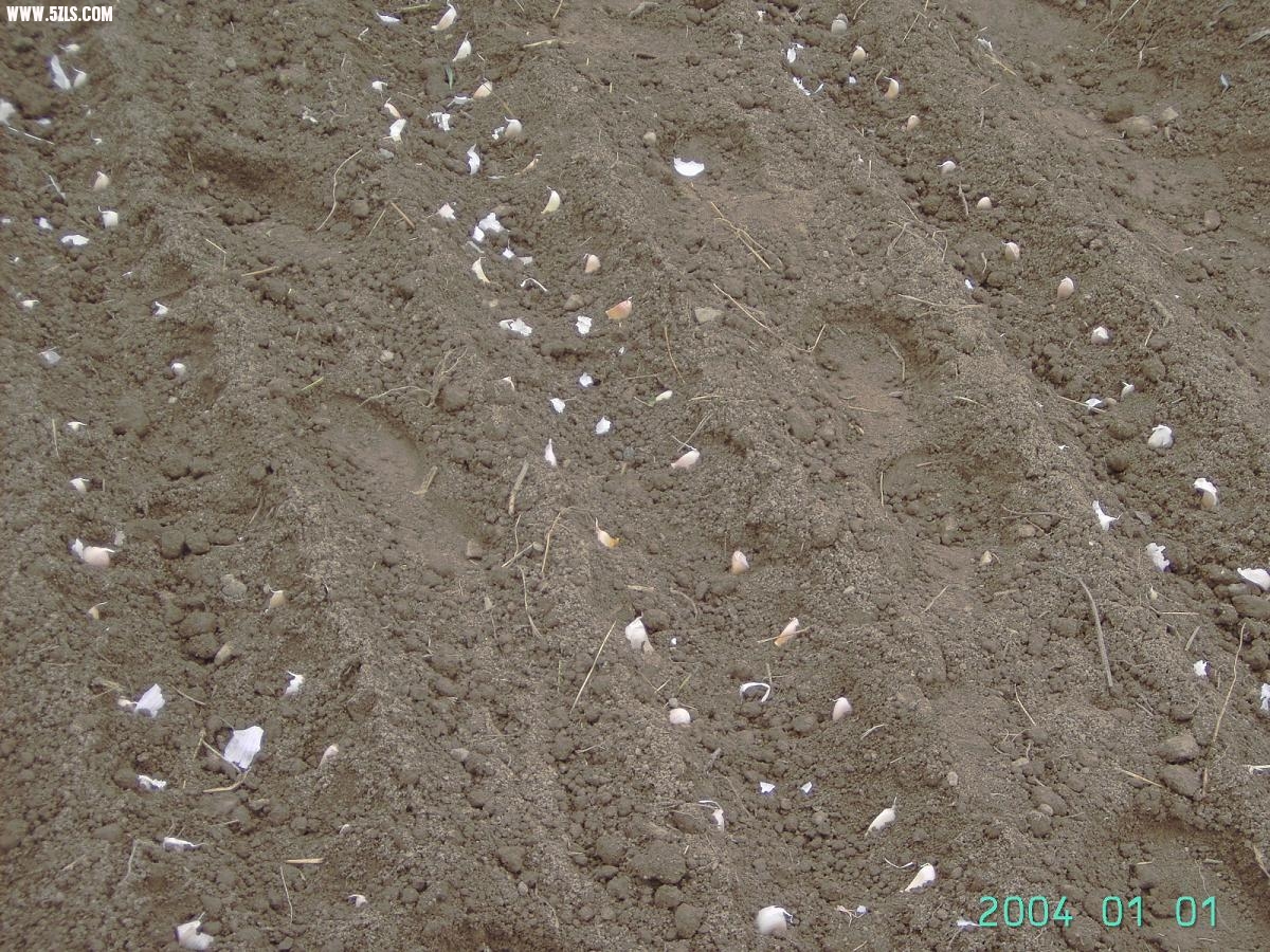 PICT3398.JPG