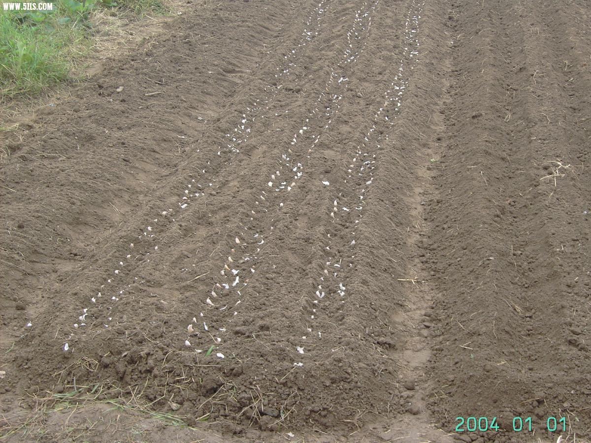 PICT3400.JPG