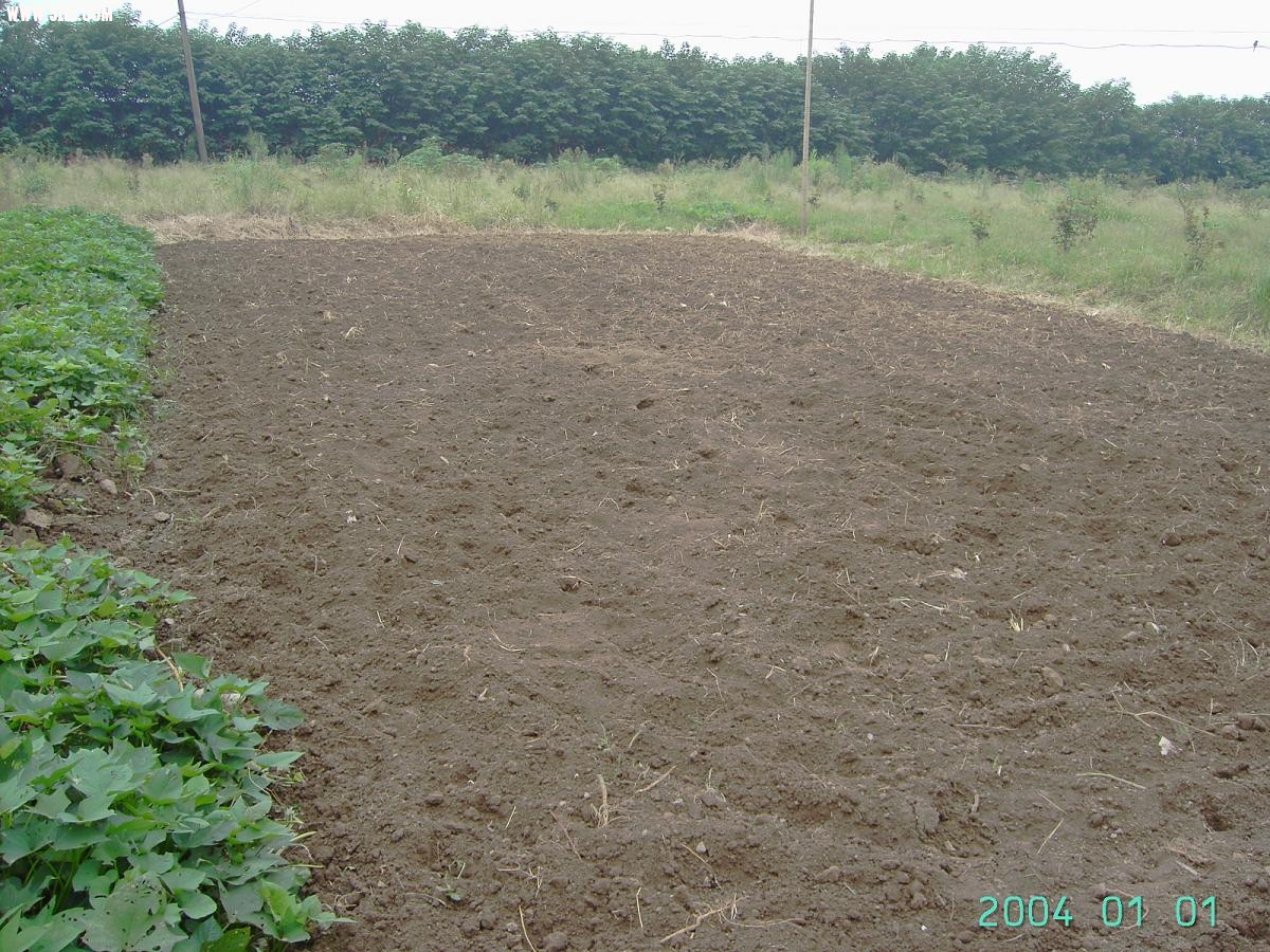 PICT3402.JPG