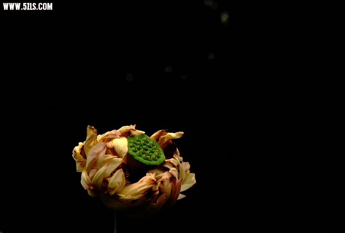 Īɽ 097.jpg