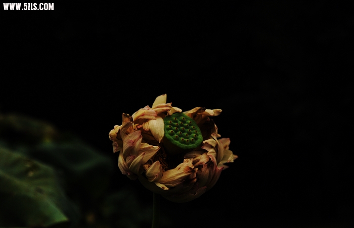 Īɽ 096.jpg