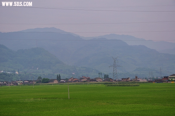 DSC_0010.jpg