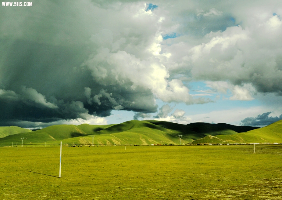 2010-8-11 (266)ԭʪزԭ.jpg