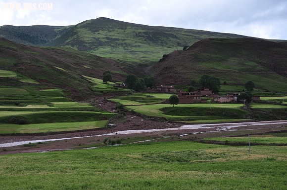 DSC_0251.jpg