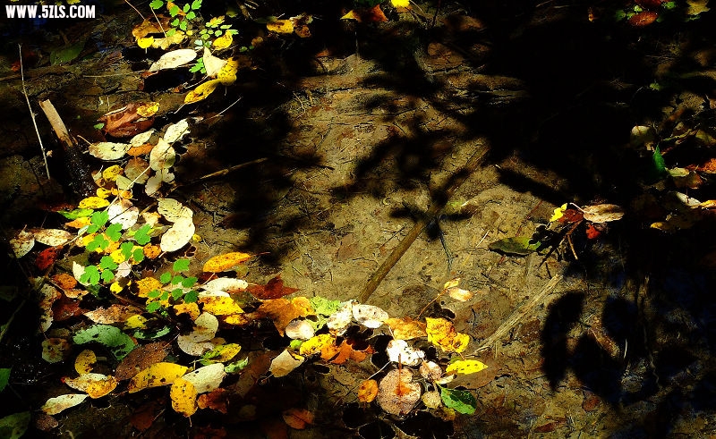 Ƭ 079.jpg