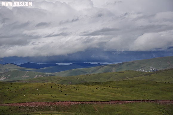 DSC_0332.jpg