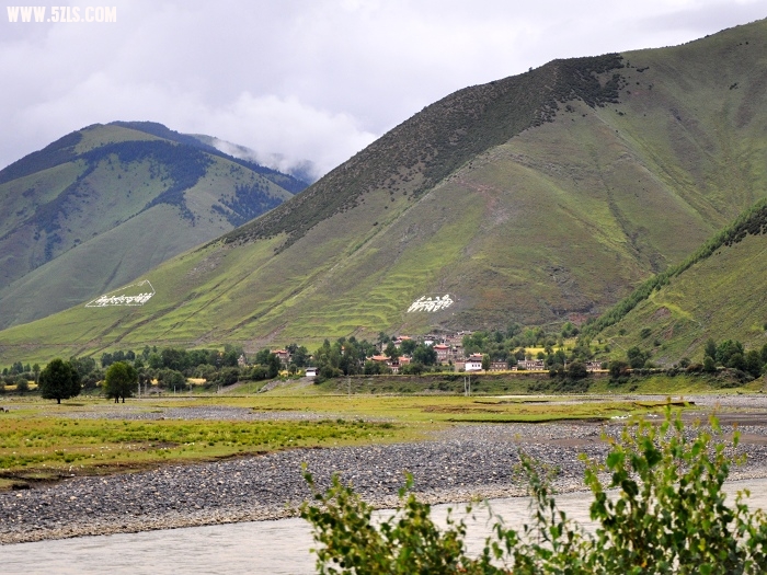DSC_0055-1.jpg