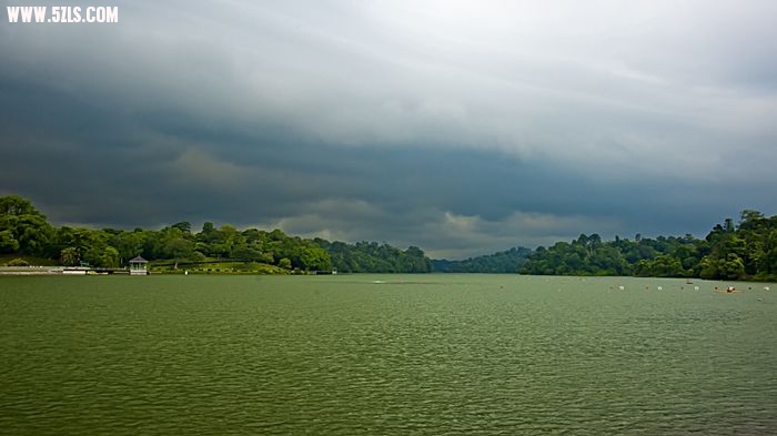 nEO_IMG__DSC0004.jpg