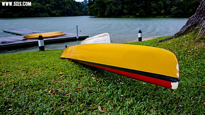 nEO_IMG__DSC0013.jpg