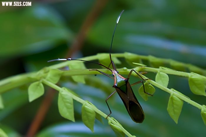 nEO_IMG__DSC0058.jpg
