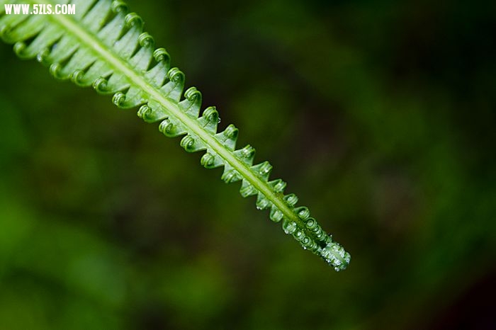 nEO_IMG__DSC0077.jpg