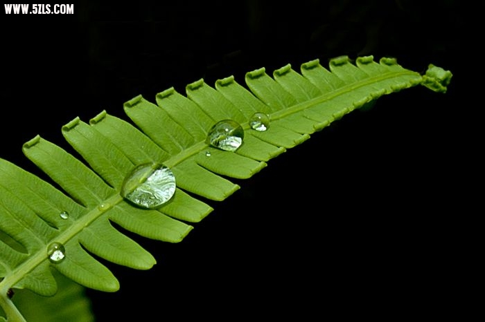nEO_IMG__DSC0115.jpg