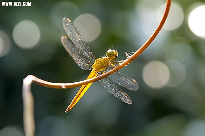 nEO_IMG__DSC0175.jpg
