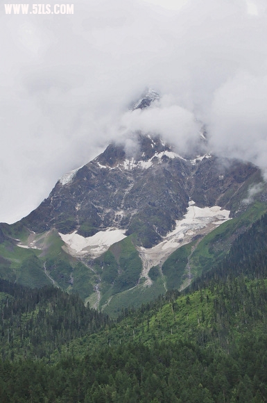 DSC_0977.jpg