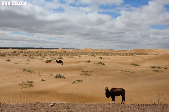 DSC_8085.jpg