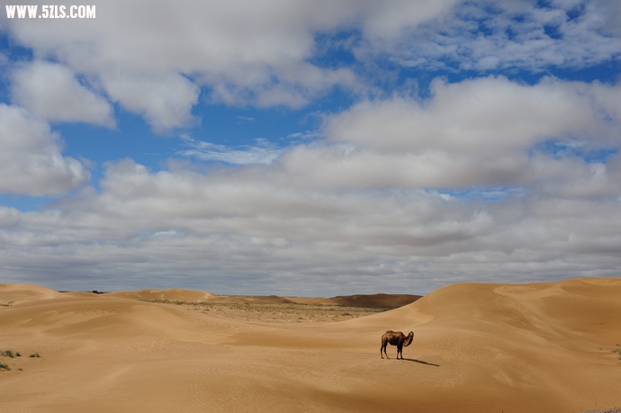DSC_8084.jpg