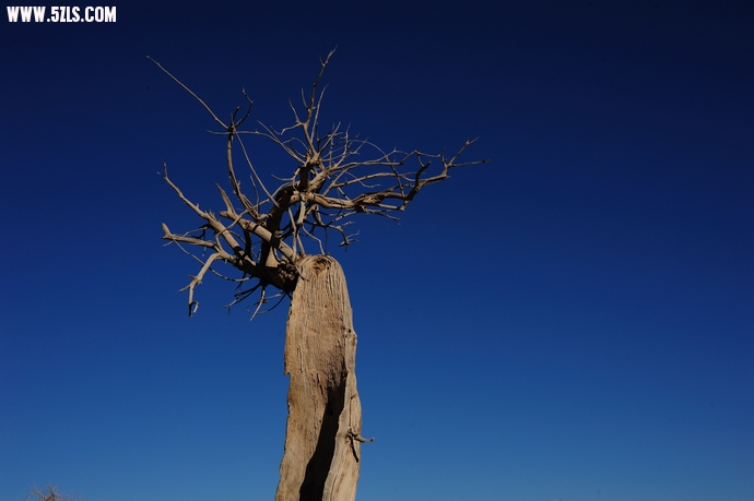DSC_8301.jpg