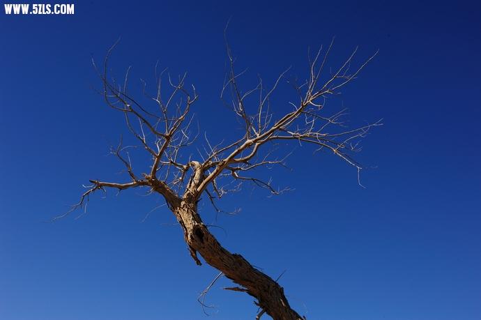 DSC_8362.jpg